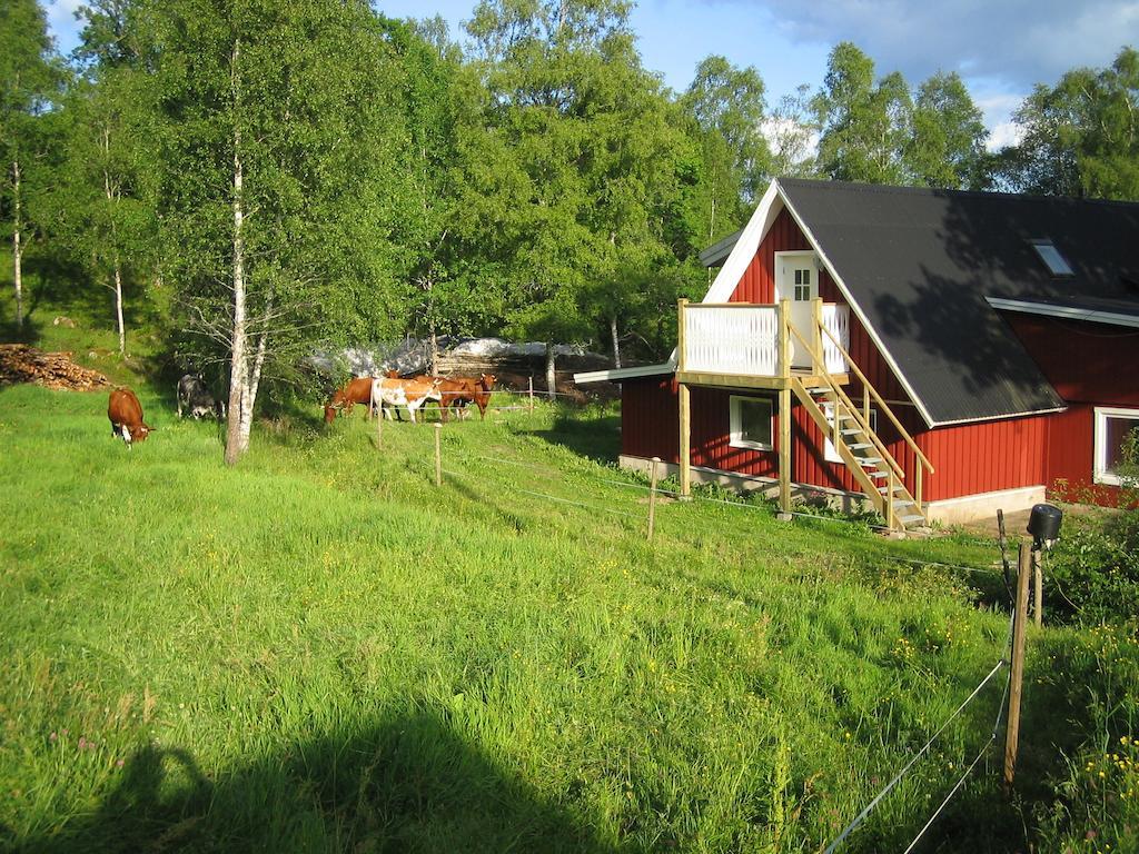 斯切灵加德 Loft Alaryd旅馆 外观 照片